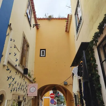 Casa D 아파트 *